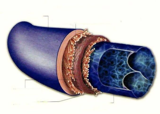 A varikozusok okai